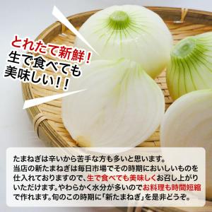 【営業日当日発送】 新たまねぎ 新玉ねぎ 国産...の詳細画像1