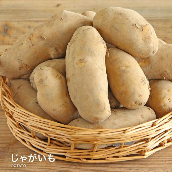 【営業日当日発送】  じゃがいも ジャガイモ 送料無料 1kg 2kg 3kg 4kg 5kg 10...