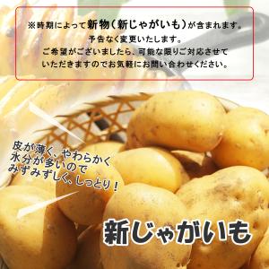 【営業日当日発送】 新じゃがいも じゃがいも ...の詳細画像4