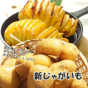【営業日当日発送】 新じゃがいも じゃがいも ...の詳細画像1
