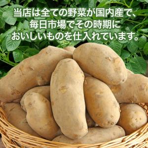 【営業日当日発送】 新じゃがいも じゃがいも ...の詳細画像3