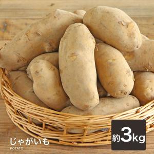 じゃがいも” 訳あり 約5kg 大きさおまかせ 産地厳選 送料無料 : くらし