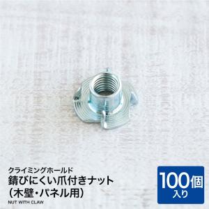 錆びにくい爪付きナット（100個入り） クライミングホールド（木壁・パネル用） クライミング用ナット 爪付きＴナット ボルダリングホールド クライミング｜kakabit