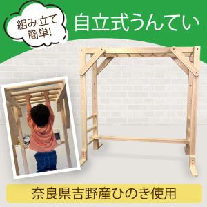 うんてい（取り付け式）幅500mm　同色5本セット うんてい（取り付け式）同色5本セット 運動 子供 キッズ 室内