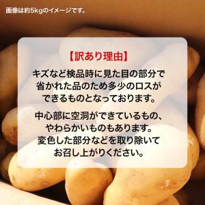 訳あり 新じゃがいも 新じゃが じゃがいも ジ...の詳細画像1
