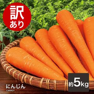 にんじん 人参 3kg 送料無料 沖縄県産 津堅島 にんじんしりしり スパム
