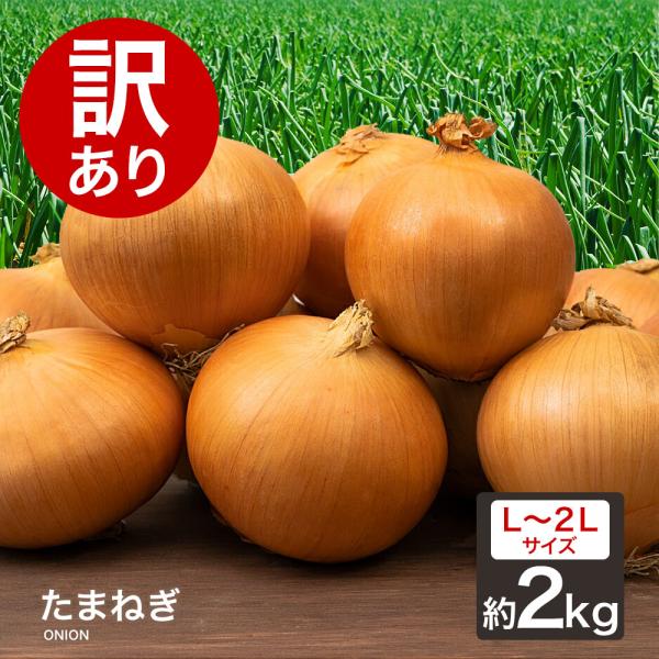 訳あり たまねぎ 2kg Ｌ〜２Ｌ 玉葱 ご家庭用 大量 野菜 国産 玉ねぎ