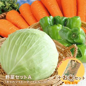 野菜セット 3種国産野菜セット 野菜詰め合せ （たまねぎ・にんじん