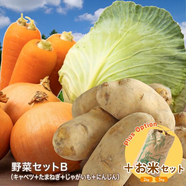 野菜セットB（キャベツ1玉・たまねぎ約1kg・じゃがいも約1kg・にんじん約1kg）4種セット きゃ...