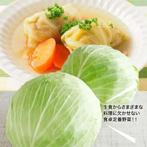 野菜セット 4種 国産野菜セット 野菜詰め合せ...の詳細画像2