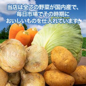 野菜セット 4種 国産野菜セット 野菜詰め合せ...の詳細画像1