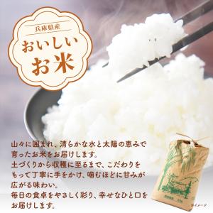 4種野菜セット 野菜詰め合せ B (キャベツ1...の詳細画像3