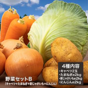 野菜セットB（キャベツ2玉・たまねぎ約2kg・新じゃがいも約2kg・にんじん約2kg）4種セット きゃべつ 玉ねぎ ポテト 人参 定番 万能 おうちごはん おうち時間｜kakabit