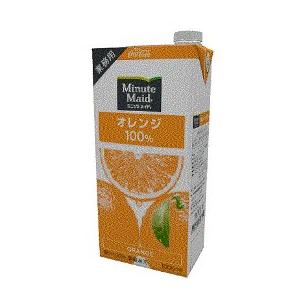 コカコーラ ミニッツメイド オレンジ（業務用）1L紙パック 1ケース(6本)
