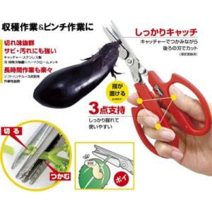 切ってつかめるキャッチ鋏　片手で収穫しても落ちない！