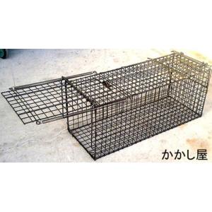 小動物キャッチャー24型 エサ吊り下げ方式 捕獲器 オリ ワナ