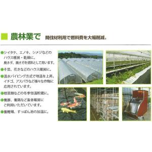 ウッド・ボイラー N-1000NSB 中・大規...の詳細画像2