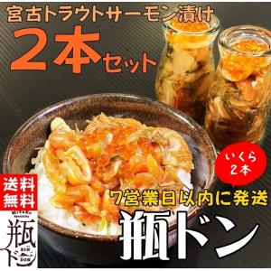 瓶ドン トラウトサーモンイクラ 2本セット 海鮮丼 浄土ヶ浜レストハウス 小瓶タイプ 冷凍 瓶丼 ビン丼 ビンドン いくら めかぶ メカブ がごめ昆布 送料無料