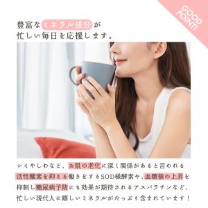 ブラックルイボスティー 黒豆と発酵ルイボス ブ...の詳細画像4
