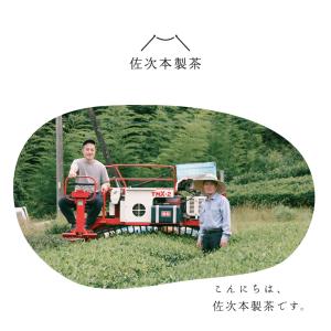 たっぷり煎茶 ティーバッグ 5g×25個×2袋...の詳細画像1