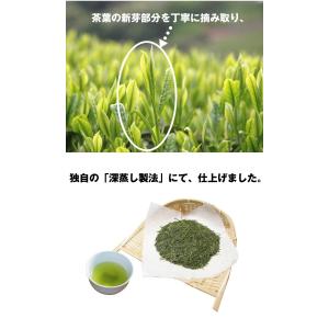 摘みたて緑茶 プチギフト 日本茶 お茶 飲料 ...の詳細画像4