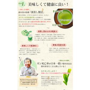 摘みたて緑茶 プチギフト 日本茶 お茶 飲料 ...の詳細画像5
