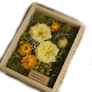 ヘリクリサムシルバー ドライフラワー の商品一覧 花 ガーデニング 通販 Yahoo ショッピング