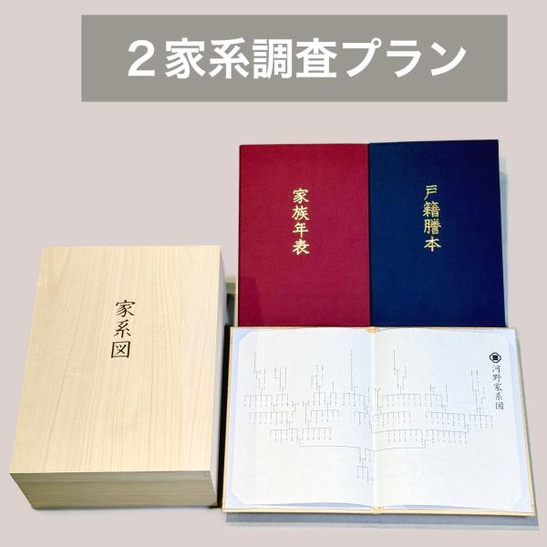 家系図作成サービス 2家系調査プラン Kakeizu Plus 相続関係図