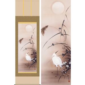 掛け軸 尾形光琳 『松の図』 【掛軸】【半間床】【趣味】 : 掛け軸