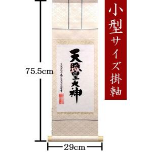 掛け軸 長さ（丈）56cmの天照皇大神 (荒木田守民) 【掛軸】【一間床