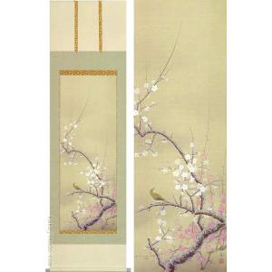 竹内栖鳳 掛け軸 梅に鶯 【掛軸】【一間床・半間床】【丈の短い掛軸