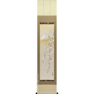 掛け軸 達磨図 (川村観峰) （掛軸小物なし） 【掛軸】 : 掛け軸・絵画