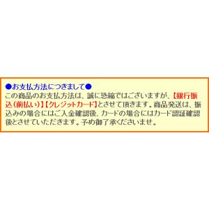 中島千波 絵画 春日和 【複製】【美術印刷】【...の詳細画像2