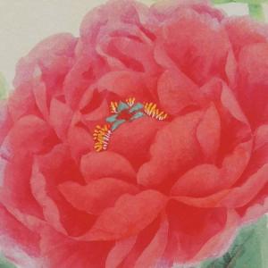 高級色紙「牡丹」吉行(色紙絵)の詳細画像2