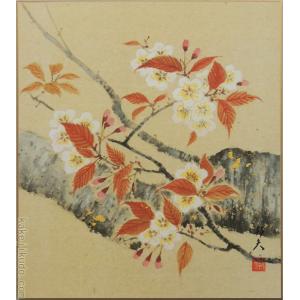 高級色紙「藤」春穂（色紙絵） : 掛け軸・絵画の専門店 掛軸堂