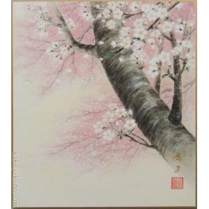 高級色紙「桜」康多（色紙絵）｜kakejiku