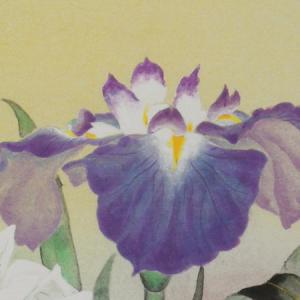 高級色紙「菖蒲」加弥(色紙絵)の詳細画像2