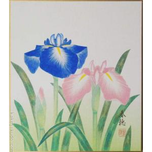高級色紙「柘榴」紅雲（色紙絵） : 掛け軸・絵画の専門店 掛軸堂画廊