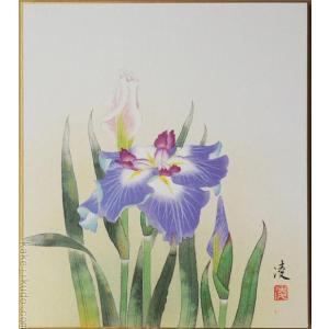 絵画 油絵 ばら (日野皖) 【肉筆】【油絵】【花】【6号】 : 掛け軸