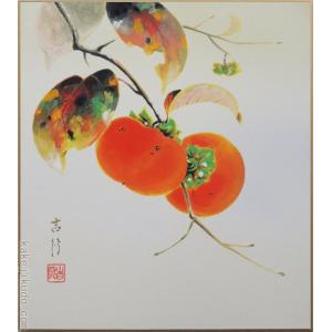 高級色紙「柿」吉行（色紙絵）｜kakejiku