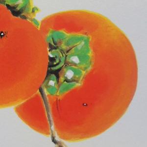高級色紙「柿」吉行(色紙絵)の詳細画像2