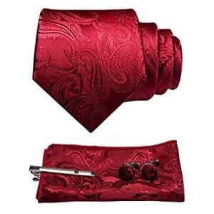 ジェミギンズ JEMYGINSメンズ ネクタイ ワインレッド ペイズリー柄 ピン カフス ボタン チ...