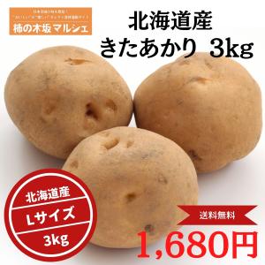 柿の木坂マルシェ じゃがいも きたあかり キタアカリ 北海道産 Lサイズ ３ｋｇ 甘い ホクホク ジャガイモ 野菜 km20003-1