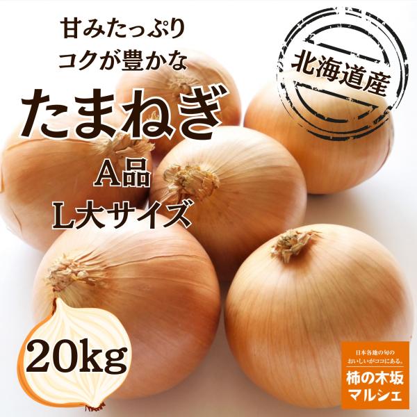 柿の木坂マルシェ たまねぎ 北海道県産 秀品 L大サイズ ２０ｋｇ