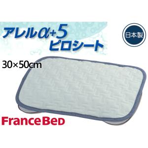 フランスベッド（FRANCEBED） 羽毛掛けふとん クイーンサイズ