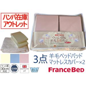 羽毛布団 クイーンサイズ セット (フランスベッド) フランスベッド（FRANCEBED） 羽毛掛けふとん クイーンサイズ
