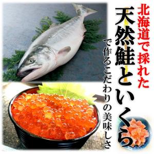 鮭ルイベ 漬け (500g/PC) 佐藤水産 ...の詳細画像2