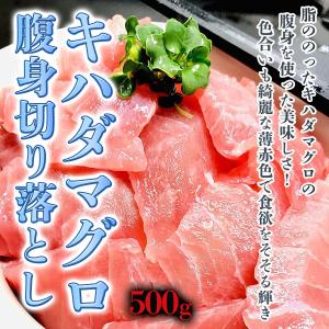 まぐろ 切り落とし 500g 脂ののったキハダマグロの腹身を使った美味しさ！まぐろ丼 マグロ鮨 鮪 マグロ ハラミ