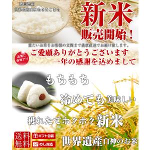 新米 令和8年産 30kg 送料無料 秋田県産...の詳細画像1