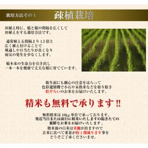 新米 令和8年産 30kg 送料無料 秋田県産...の詳細画像3